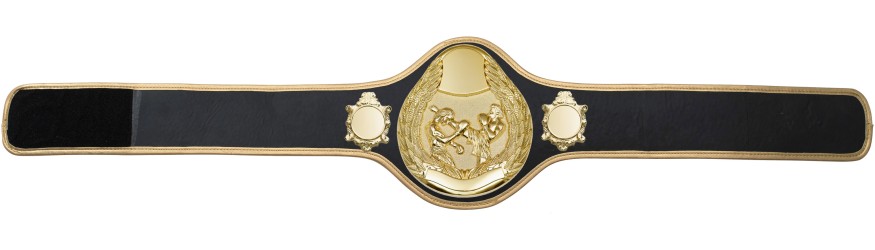 THAI BOXING CHAMPIONSHIP BELT-PRO301/G/TBOG- 10 + COLOURS THAI BOXING CHAMPIONSHIP BELT-PRO301/G/TBOG- 10 + COLOURS